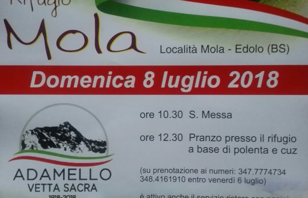 Allegato #1