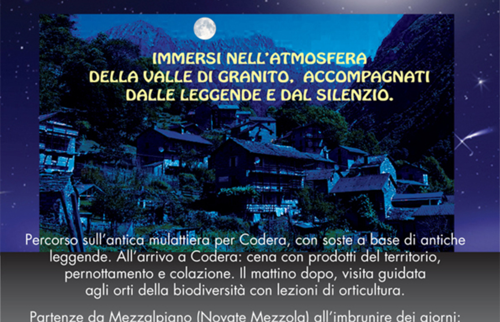 Allegato #3