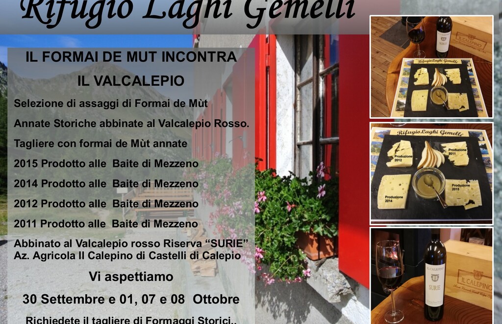 Allegato #3