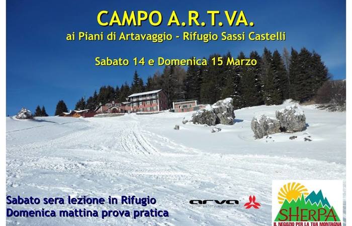 Allegato #1