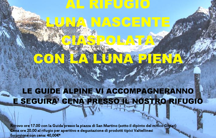 Allegato #1