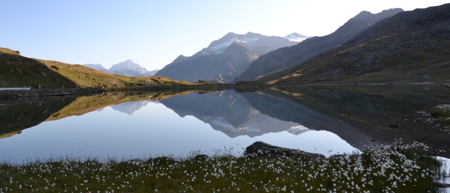 Passo Gavia