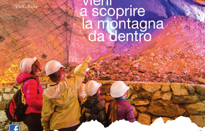 Allegato #1