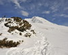 Pini mughi coperti dalla neve, salendo in Arera sul sentiero 222