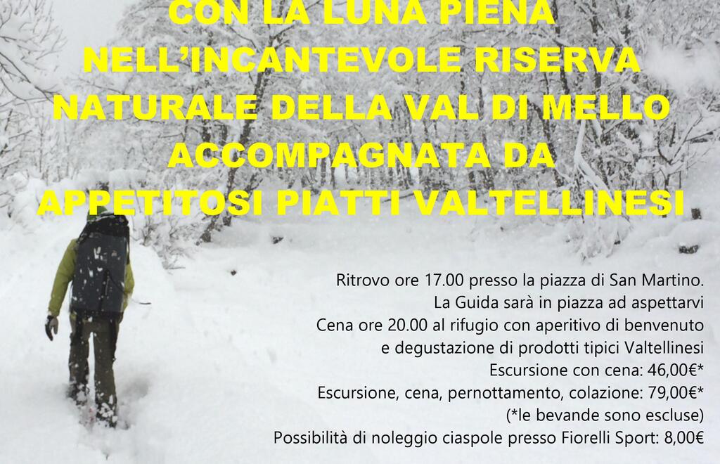 Allegato #8