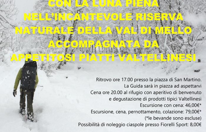 Allegato #8