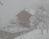 FIOCCA LA NEVE