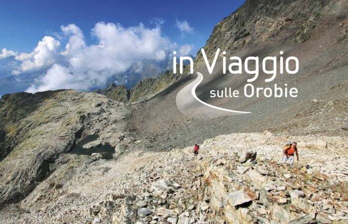 Allegato #1