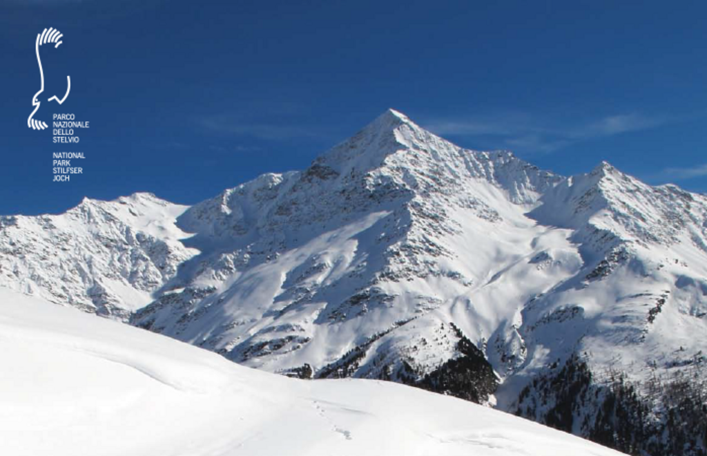 stelviopark_escursioni