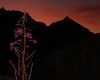 Tramonto Rifugio Ventina Valmalenco
