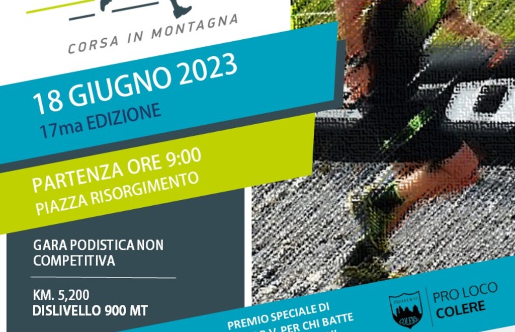 Allegato #1