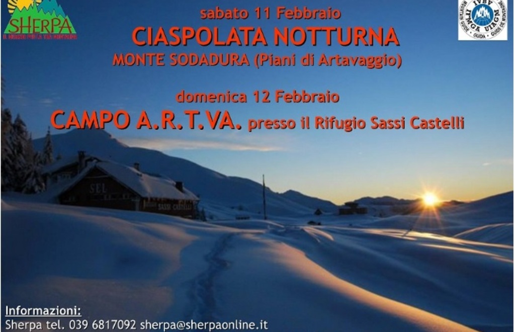 Allegato #1