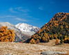 monte Disgrazia da Alpe Granda !