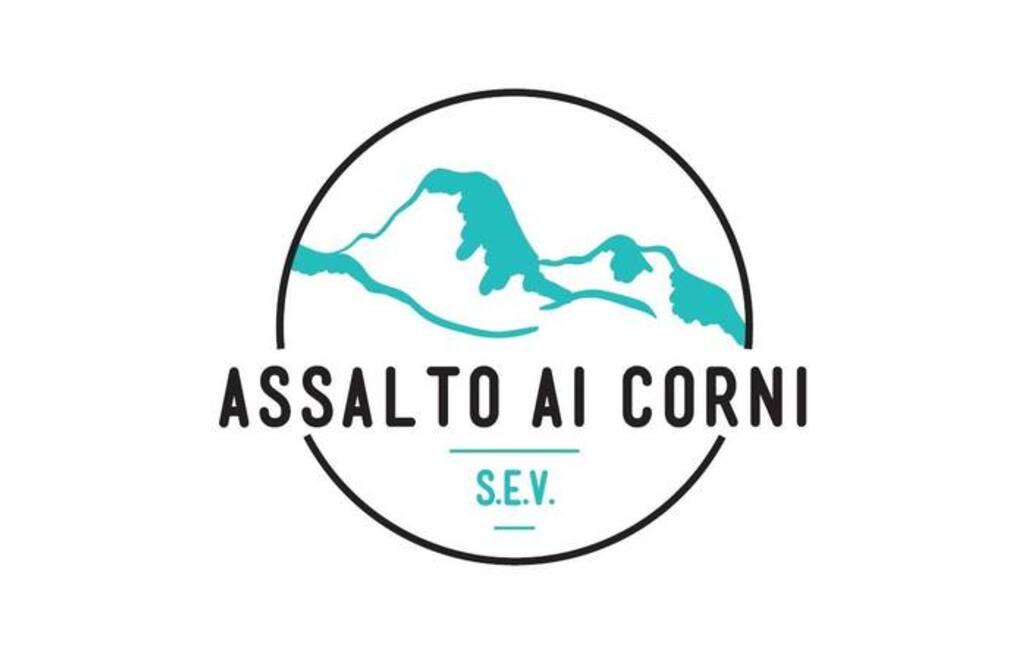 Allegato #1