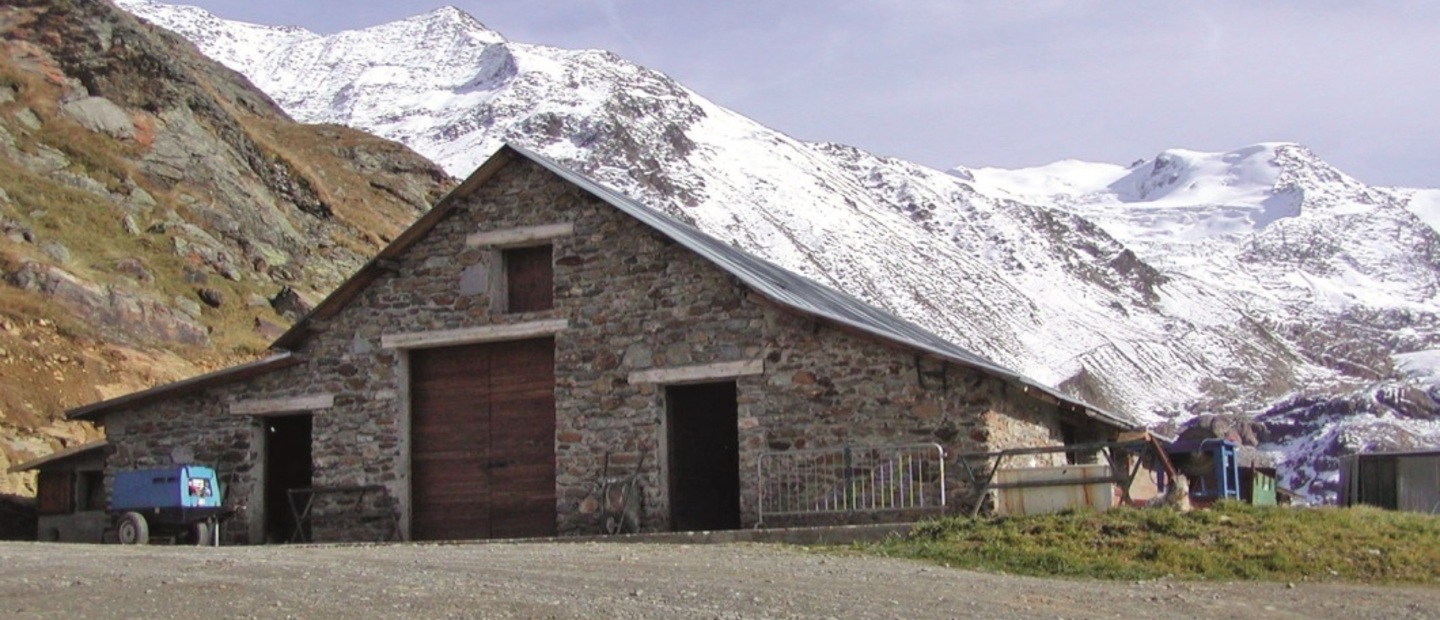 Malga dei Forni