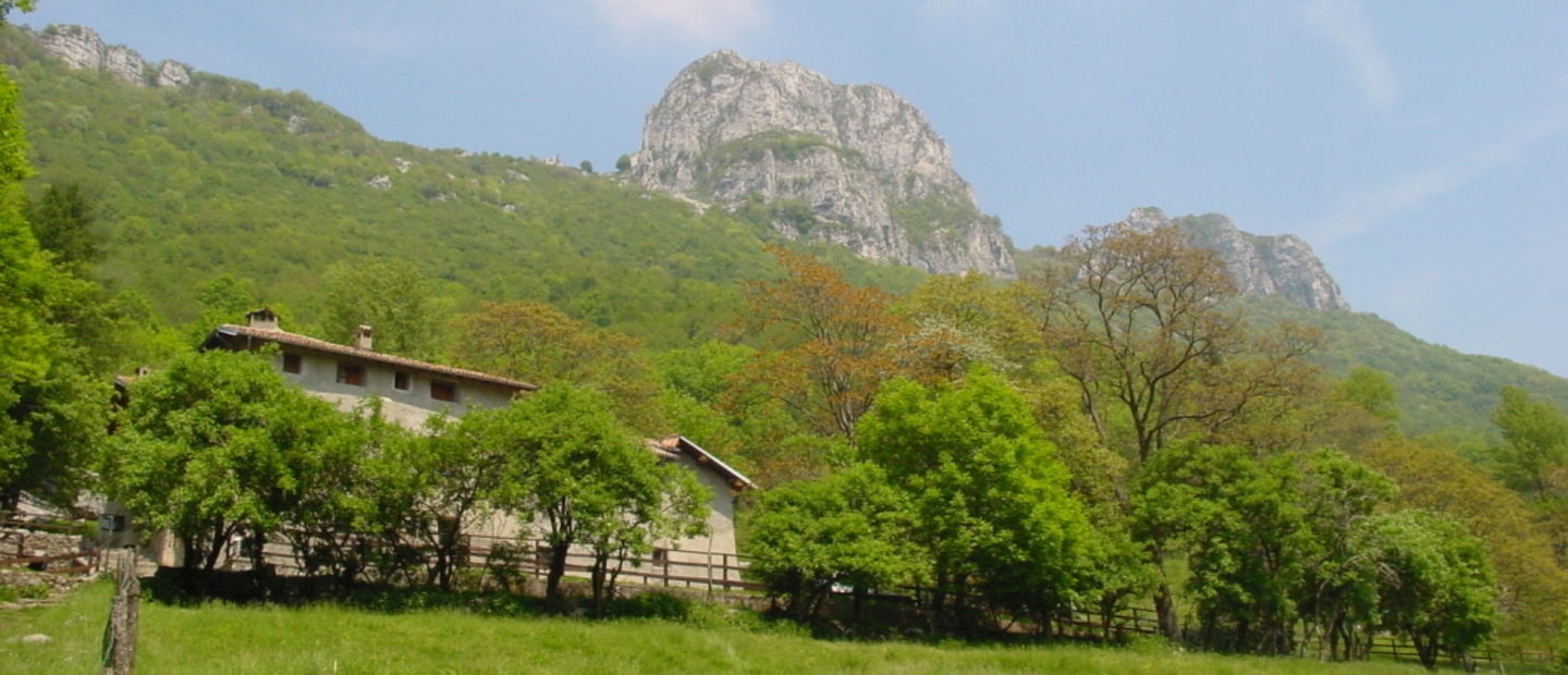 Terz'Alpe