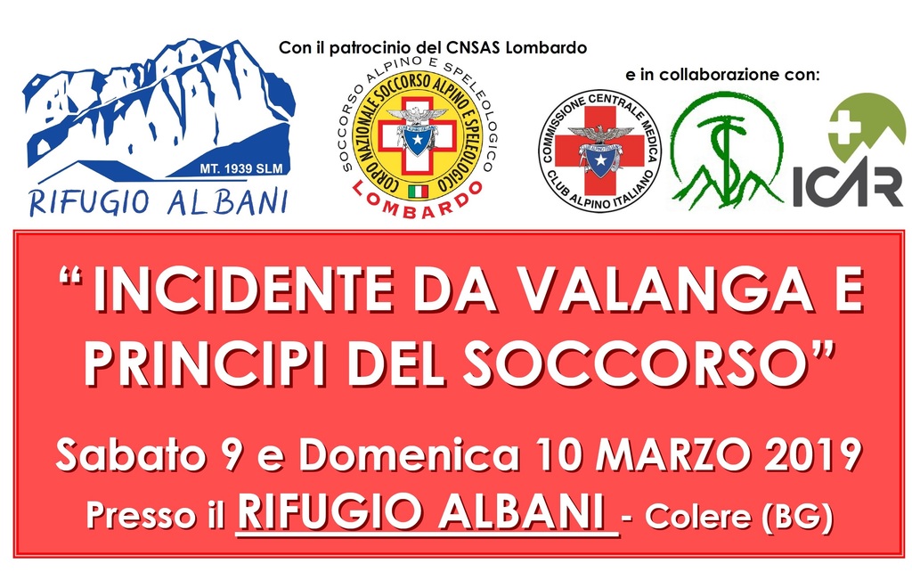 Allegato #5