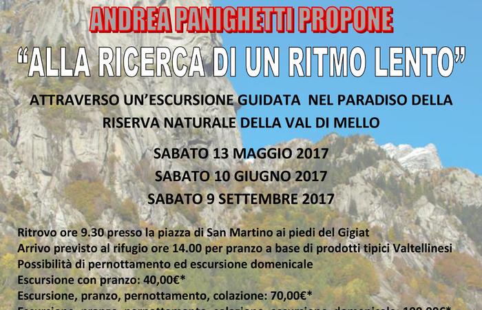 Allegato #5