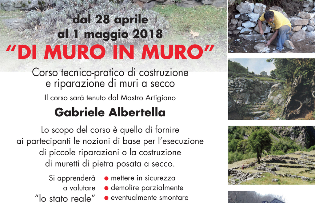 Allegato #2