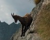 Vicini di casa Vicini di casa