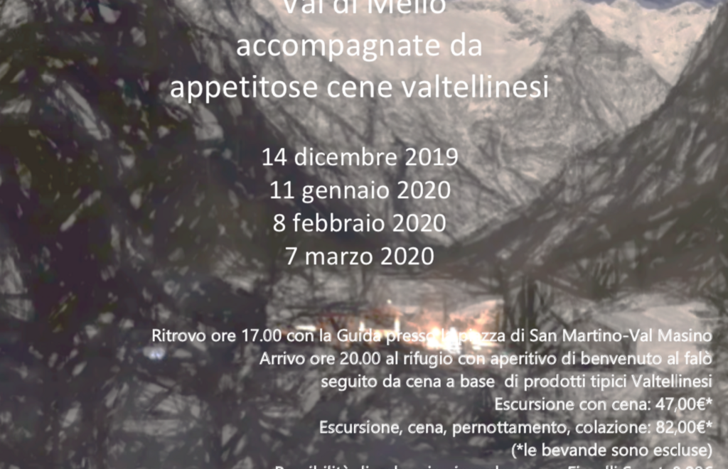 Allegato #13