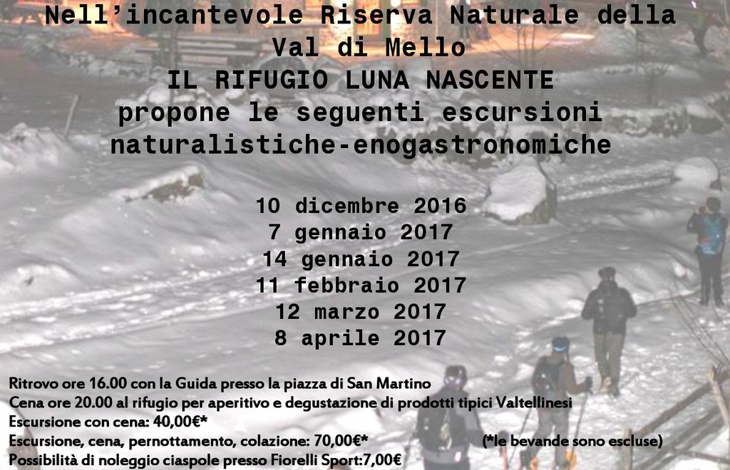 Allegato #11