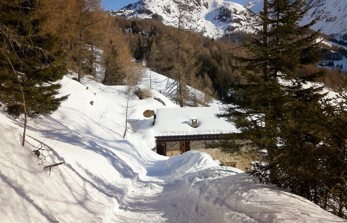Allegato #1