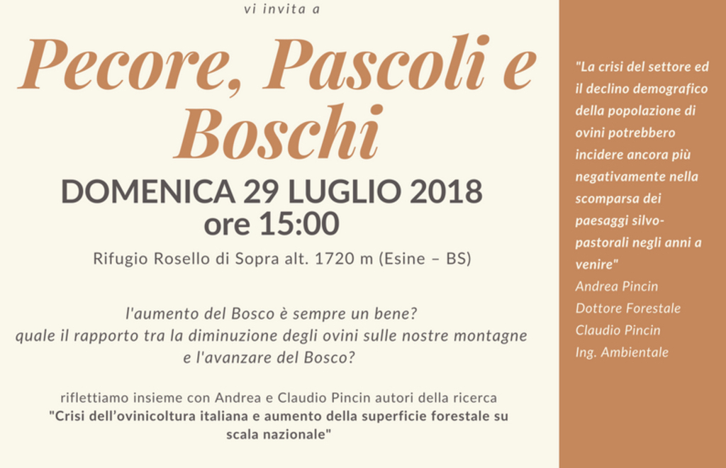 Allegato #1