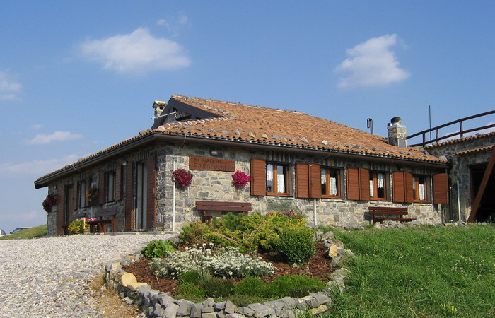 Allegato #1
