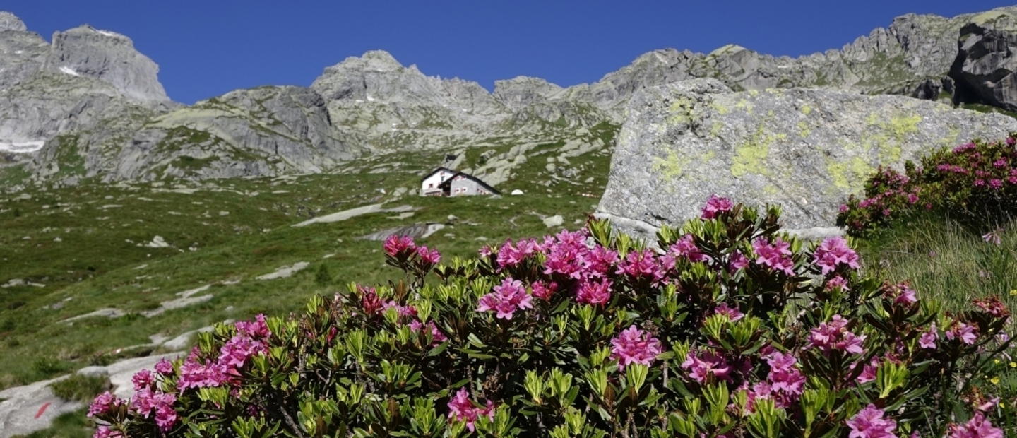 Rifugio estate