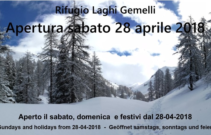 Allegato #5