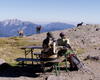 Stambecchi al rifugio Benigni