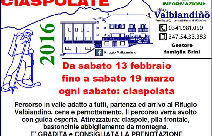 Allegato #1