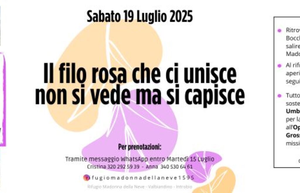 Allegato #7