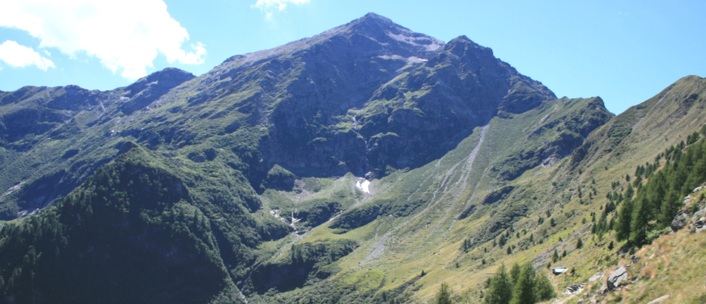 Legnone