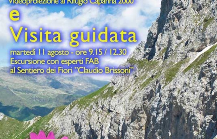 Allegato #1