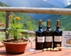 Volete degustare un buon vino locale?