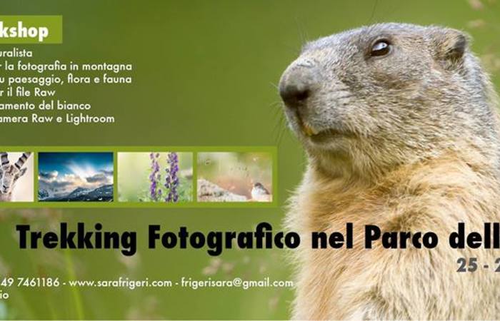 Allegato #1