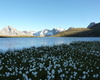 lago di Forbesana