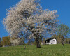 primavera nei dintorni del rifugio