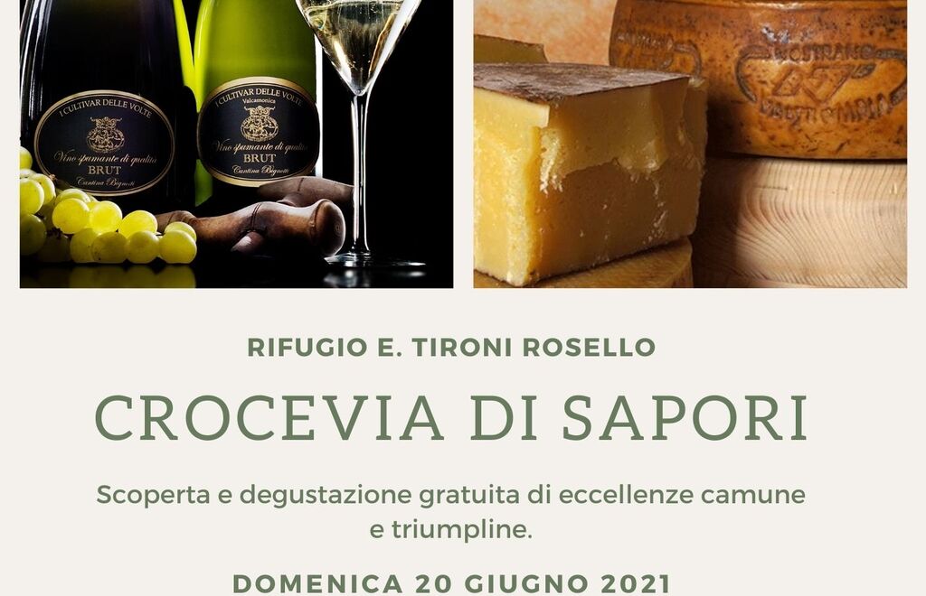 Allegato #4