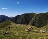 Alpe Camisolo paesaggio