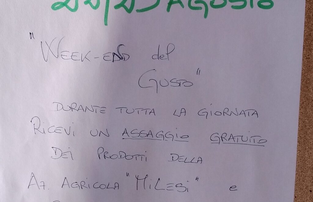 Allegato #3