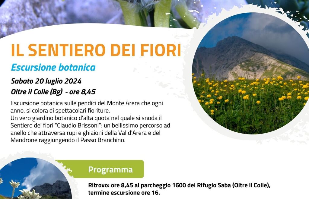 Fiori