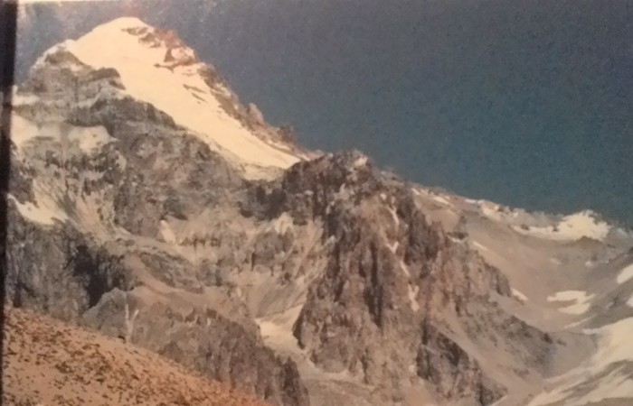 Allegato #1