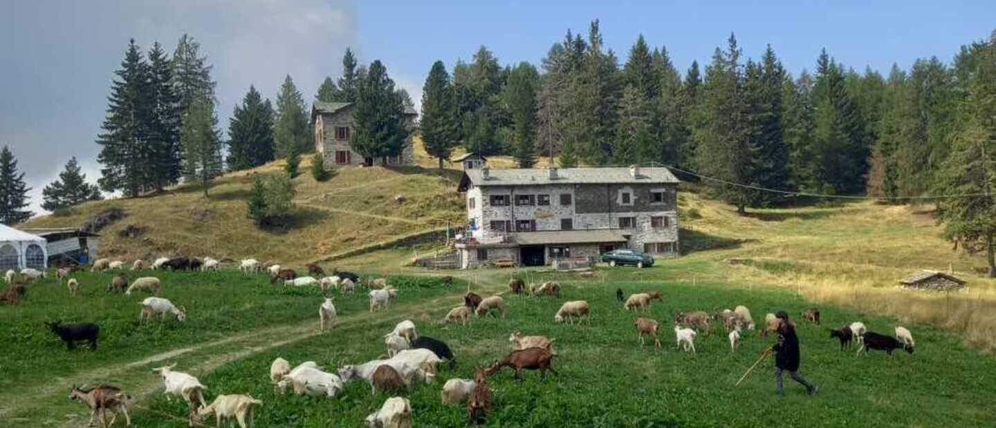 Alpe Strencia