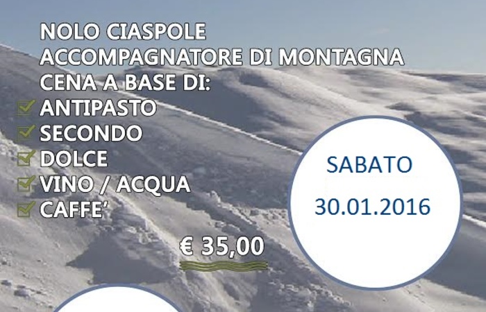 Allegato #1