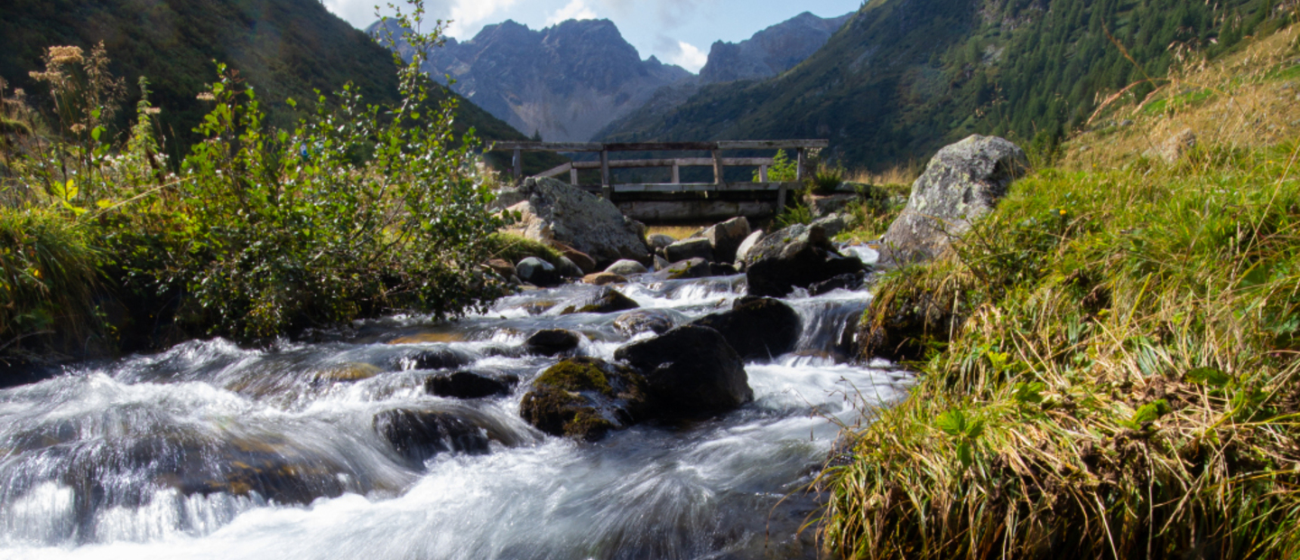 Sullo sfondo passo Valuia verso Val Poschiavo