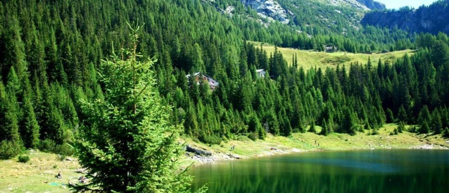 Lago Palu'