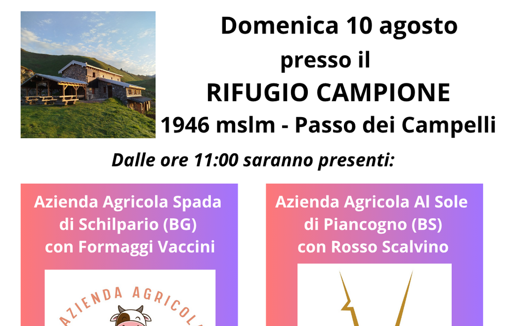 Allegato #2